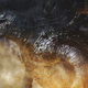 Illustration for article titled Everything You Needed to Know About iGodzilla/i